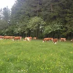 Ferienbauernhof-holops