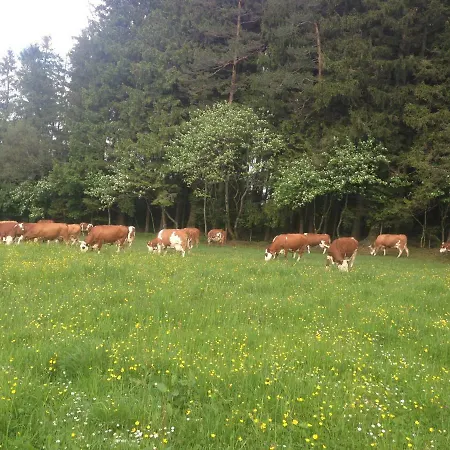 Ferienbauernhof-holops