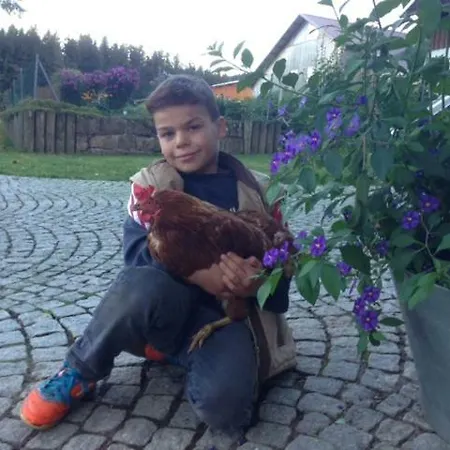 Ferienbauernhof-holops Bauernhof