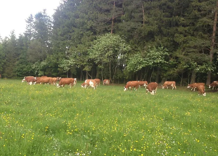 Ferienbauernhof-holops