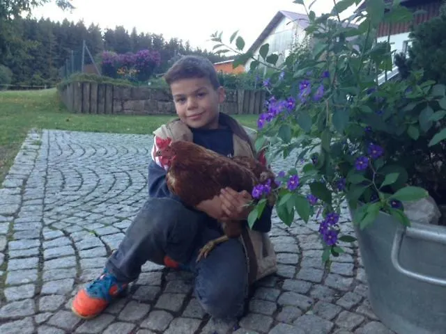 Ferienbauernhof-holops Lantgård