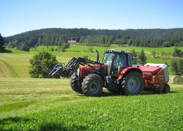 Ferienbauernhof-holops Sankt Georgen im Schwarzwald